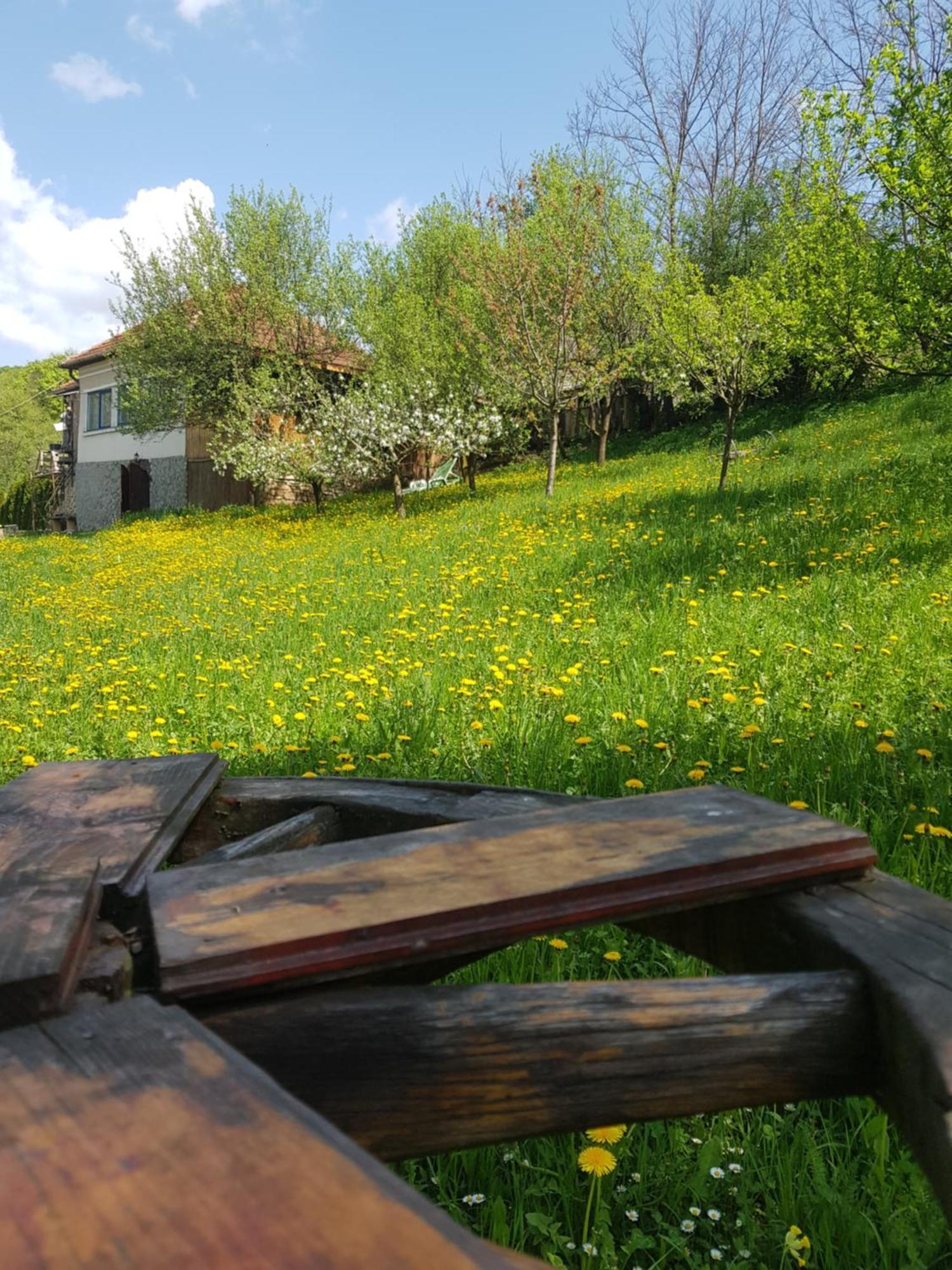 Casa La Casiru 17 Villa Gesztrágy Kültér fotó